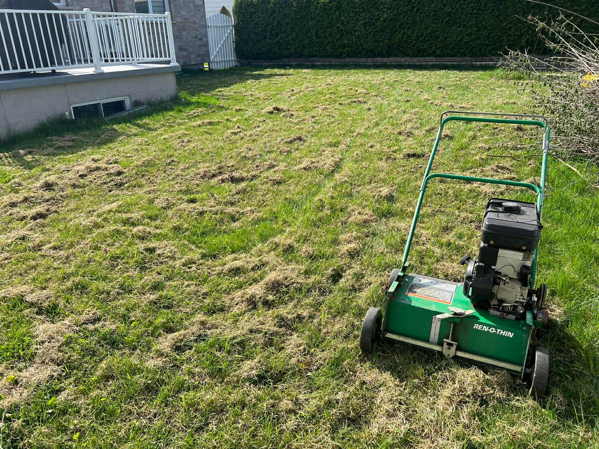 promotions.dethatching.title